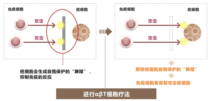 創造易于免疫機能發揮作用的環境
